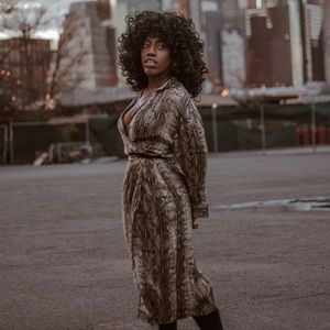 ZARA Snake Skin Dress